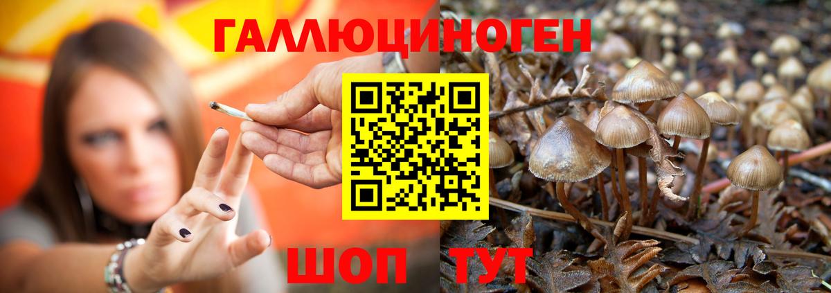 Псилоцибиновые грибы Magic Shrooms  Галлюциногенные грибы Psilocybine cubensis  Вход с VPN  Альметьевск 